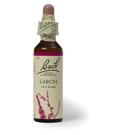 Bach Original Flower Remedy Larch Dropper 20ml – Flower Essence